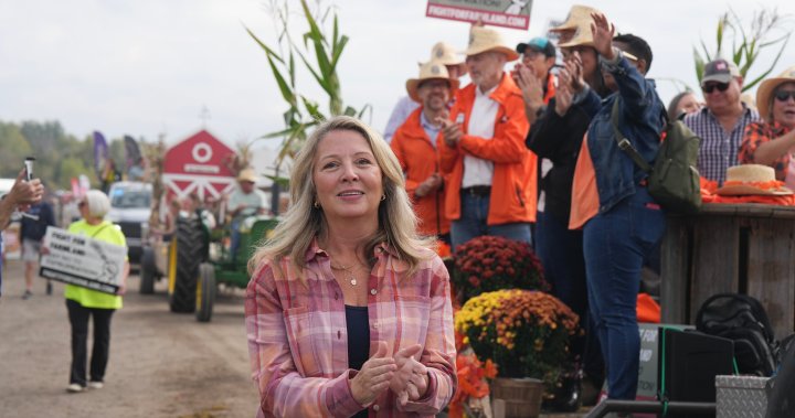 Ontario NDP pitches sweeping municipal reform amid growing homelessness [Video]