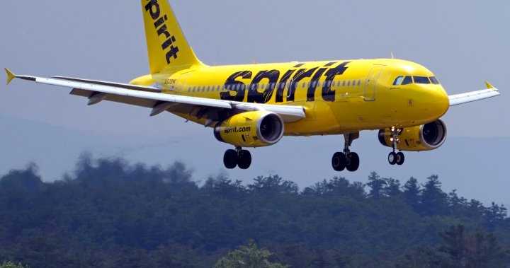 Spirit Airlines files for bankruptcy amid financial woes – National [Video]