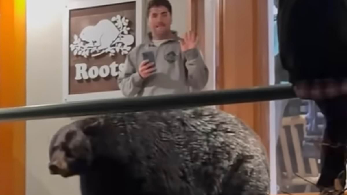 Hair-raising moment bystanders get perilously close to bear at ski resort [Video]