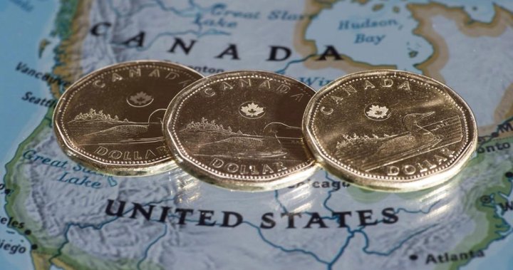 With Canadian dollar trading at 5-year low, what is the effect on the B.C. economy? [Video]