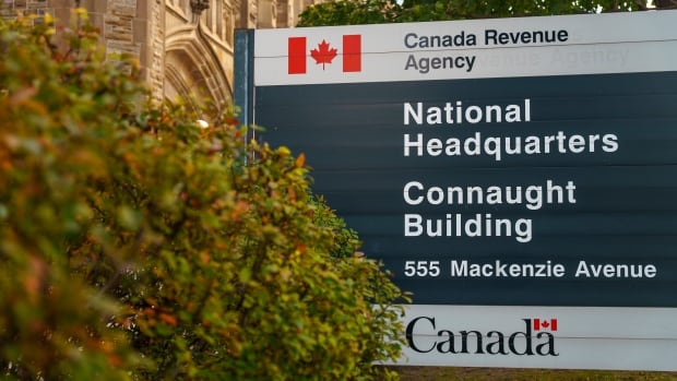 CRA leadership knew of major gaps in fraud detection as agency paid out bogus refunds, records show [Video]