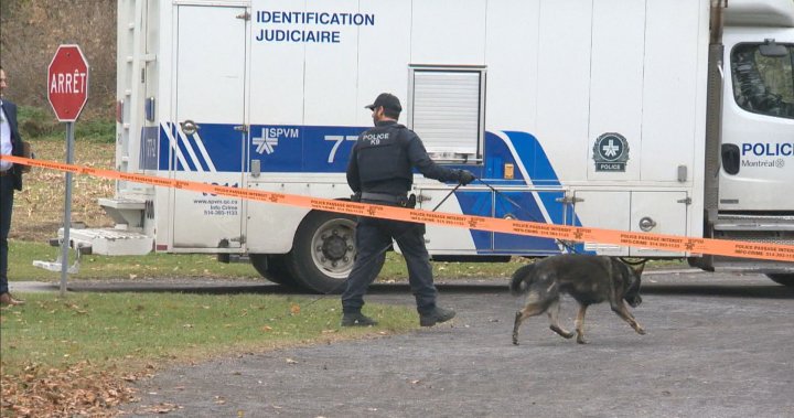 2 more arrests in abducted Montreal crypto influencers death, police say [Video]