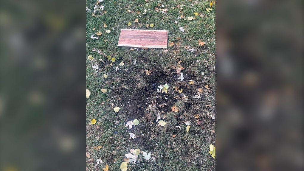 Peace tree removed from McGill University campus [Video]