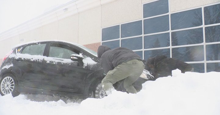 Regina drivers urged to be cautious during snowstorm – Regina [Video]