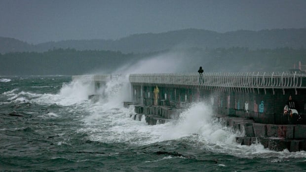 Highways closed, thousands without power as ‘bomb cyclone’ hits B.C. coast [Video]