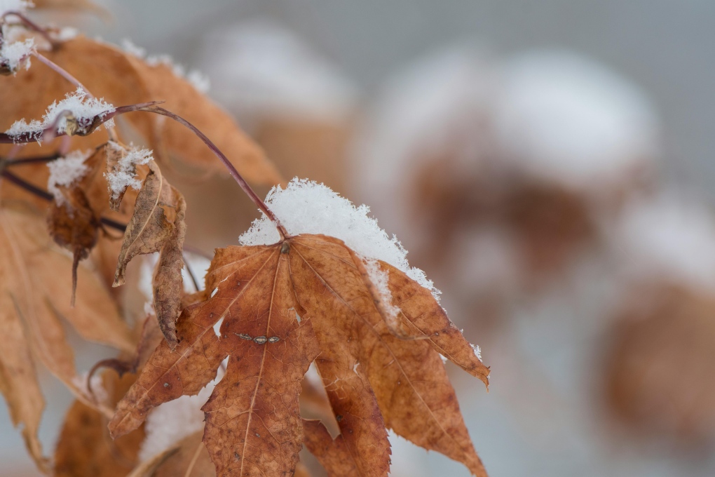 When will we see the first snow of the season? [Video]