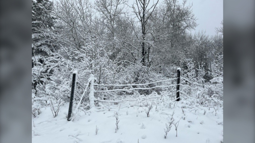 Manitoba weather: Heavy snow, strong winds in western Manitoba [Video]