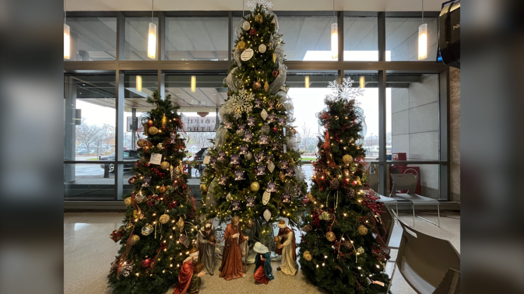 Hotel-Dieu Grace Healthcare Tree of Lights campaign begins [Video]