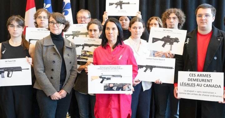 Montreal mayor backs Polytechnique survivors call for complete assault weapon ban – Montreal [Video]