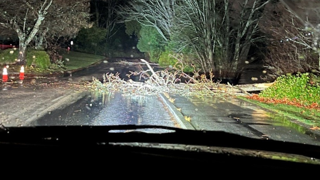 Bomb cyclone downs trees thorough Stanley Park, limiting access [Video]