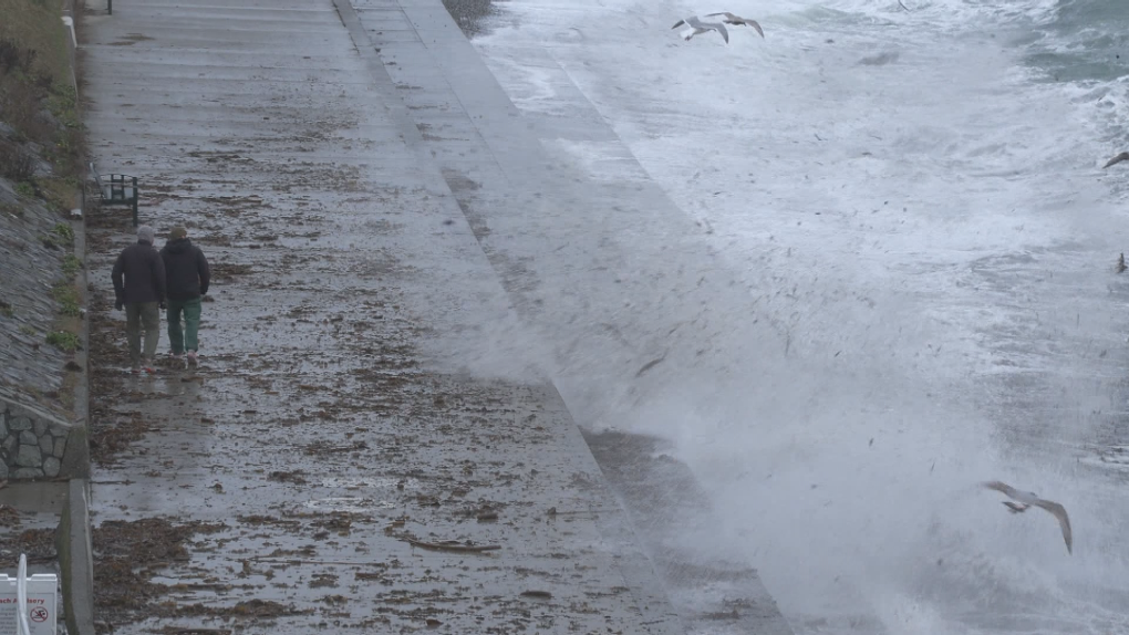 BC Ferries cancels morning sailings due to bomb cyclone [Video]