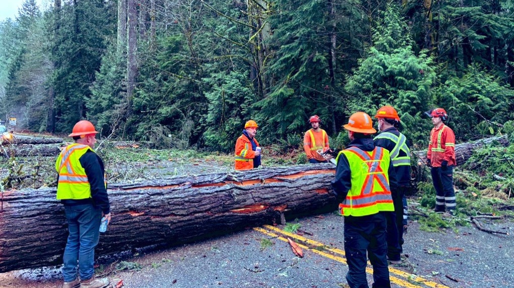 B.C. bomb cyclone: Vancouver Island highways closed [Video]