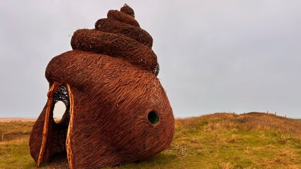 Artist says he was surprised people mistook his seashell sculpture for a poop emoji [Video]