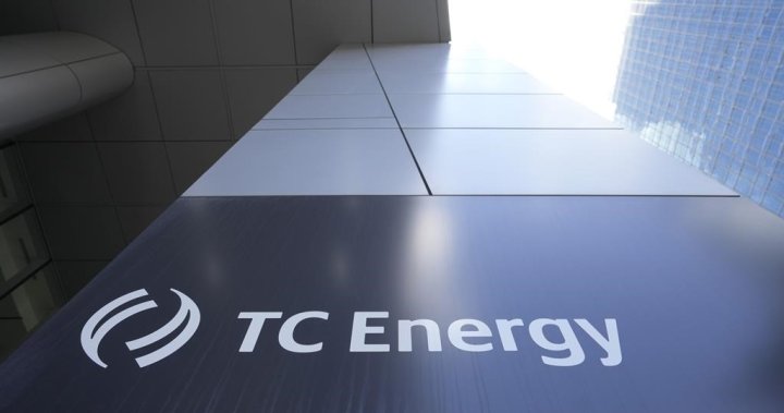 TC Energy CEO sees opportunity in Donald Trump win as company focuses on natural gas [Video]