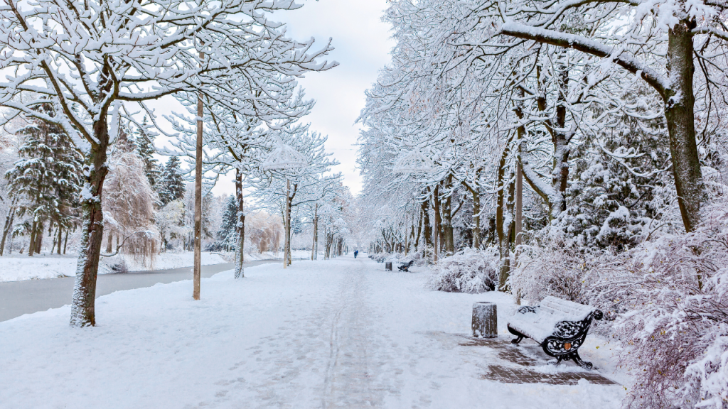 Nov. 21 weather: Rain and snow on the way for some parts of southern Ontario [Video]