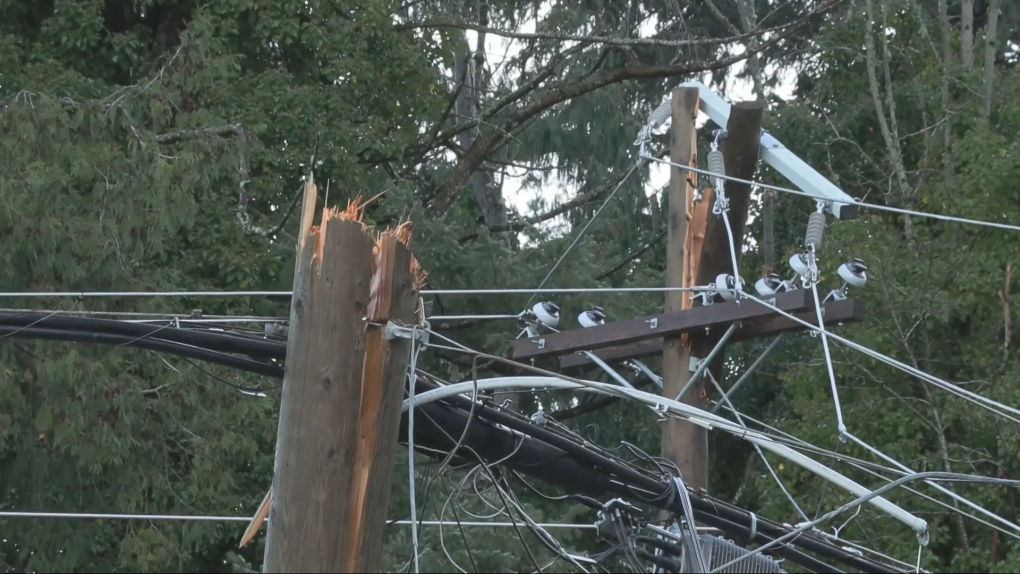 Near-record gusts knock out power to 150K on Vancouver Island [Video]