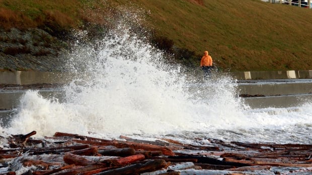 Another storm approaches Vancouver Island as B.C. Hydro crews race to restore power to thousands [Video]