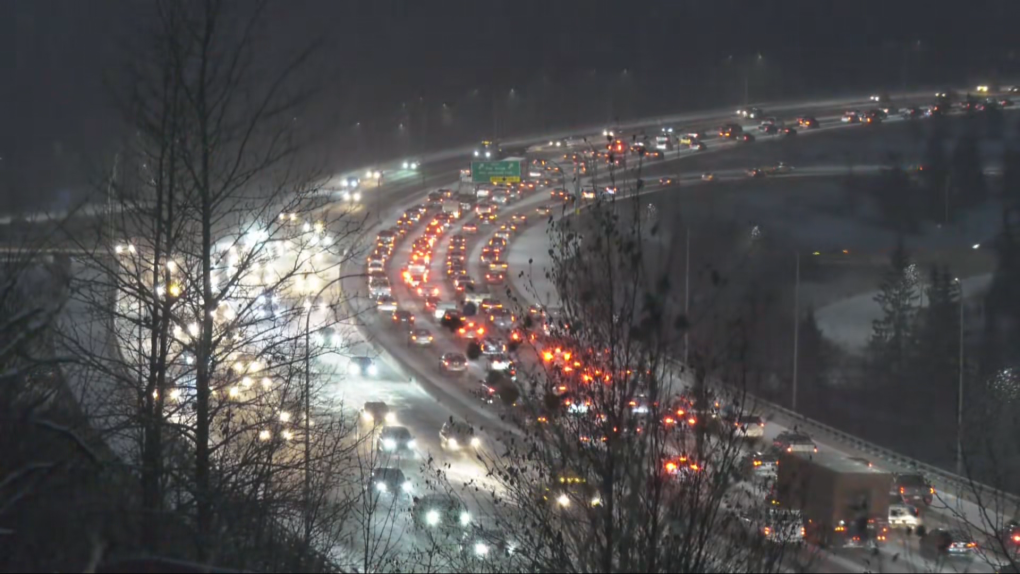 Edmonton weather for Nov. 21: Cold, snowy [Video]