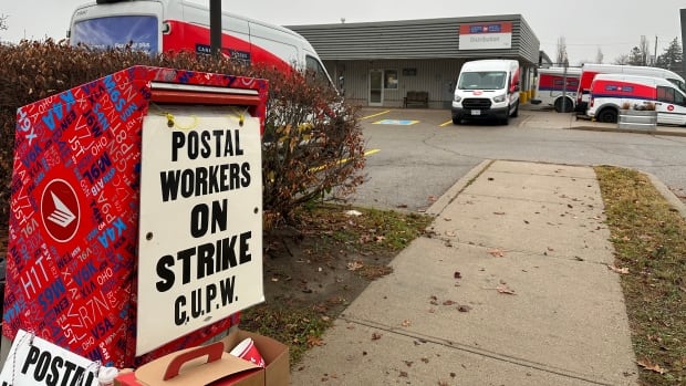 Provinces, territories make backup plans for essential services during Canada Post strike [Video]