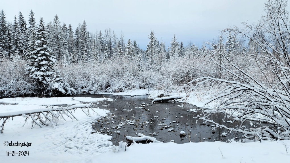 Calgary weather: Brace yourselves for more cold, snow [Video]