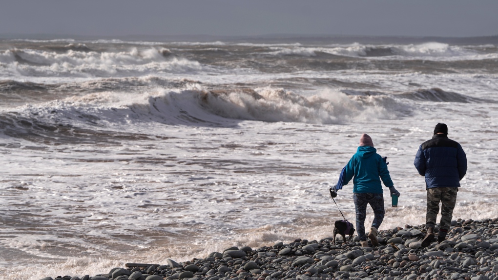 Nova Scotia weather: Wind, rainfall warnings in effect [Video]