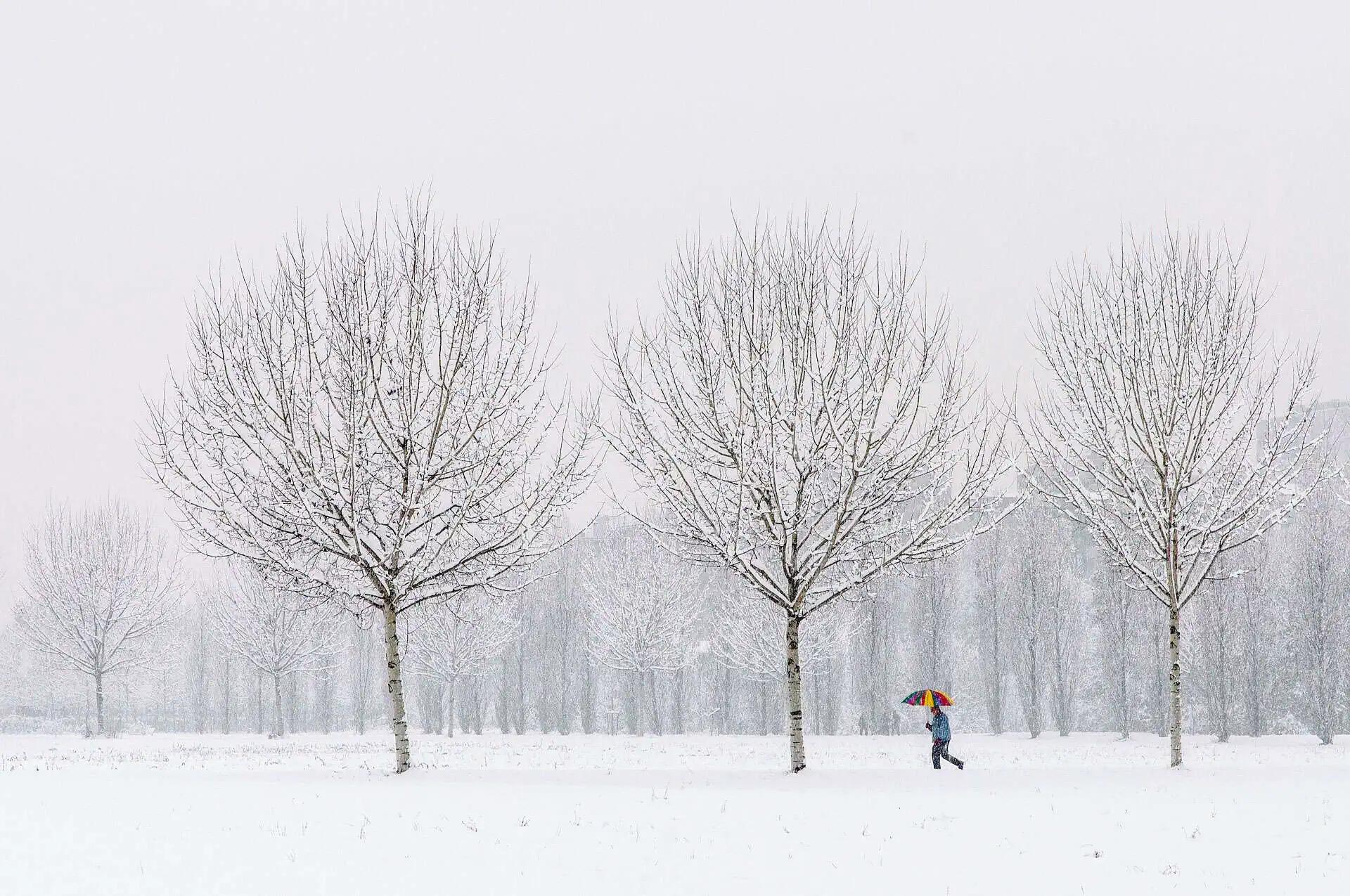 Snow forecast multiple days next week in the GTA and Ontario [Video]