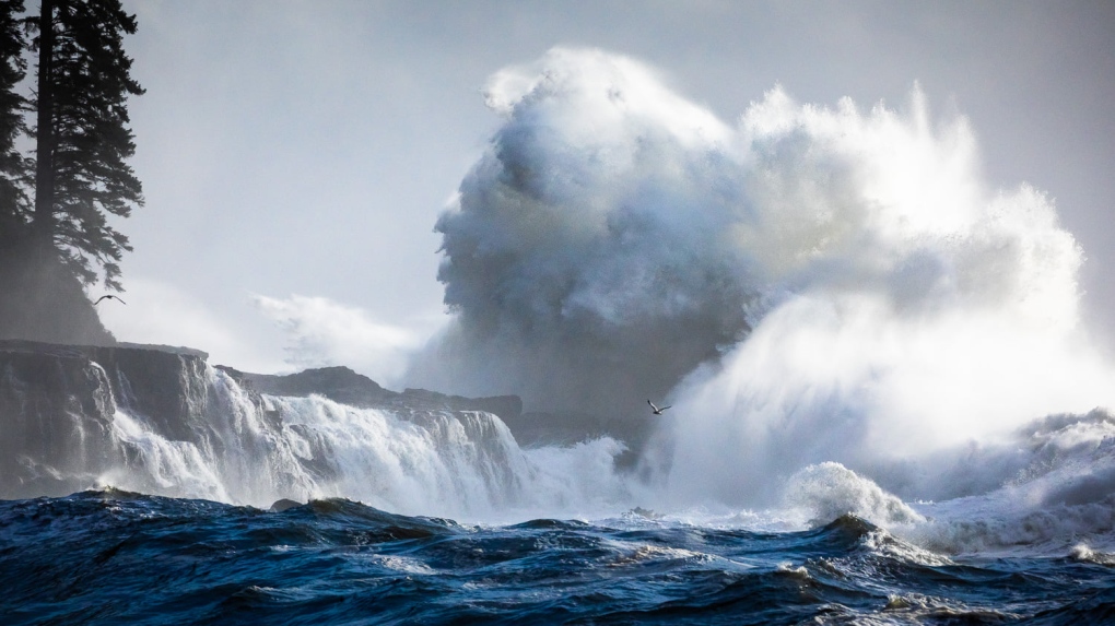 More wind on the way to B.C.’s South Coast [Video]