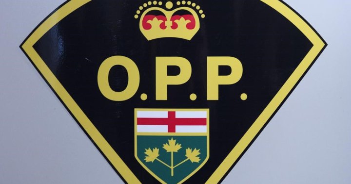 Ford government says itll work with towns hit by spike in OPP costs [Video]