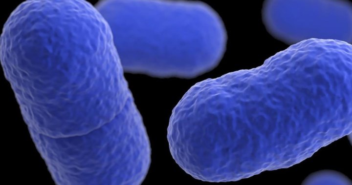 Listeria outbreak leaves California infant dead, 10 more sickened: U.S. CDC – National [Video]