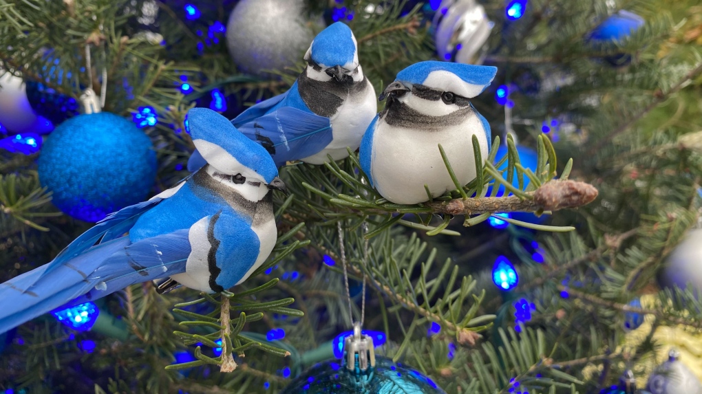 New migrating bird exhibit ‘Birdsong & Buroughs: A Holiday Migration’ takes flight at The Leaf [Video]