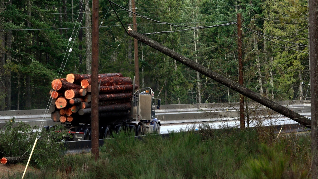 Power almost fully restored after windstorms: BC Hydro [Video]