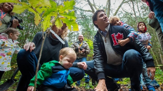 Out on a limb: Ottawa is falling behind on its promise to plant 2 billion trees [Video]