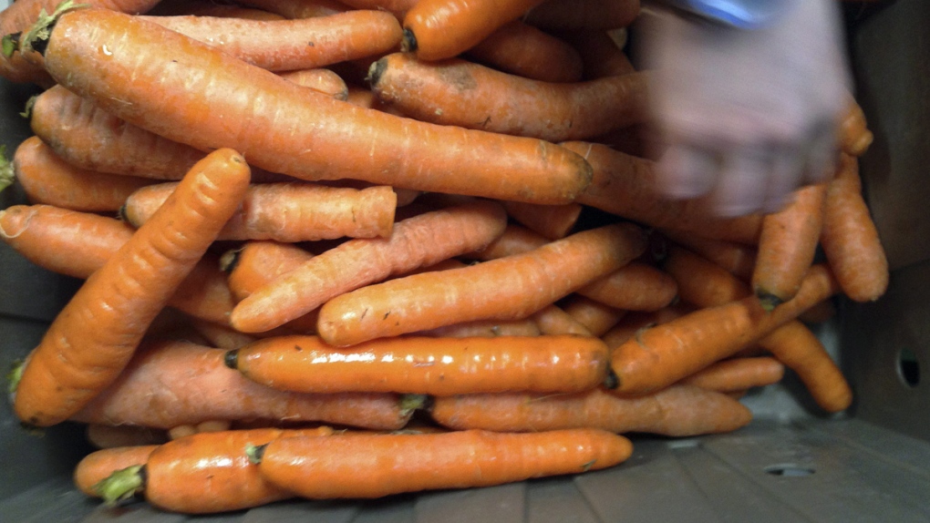 Carrot recall E. coli: Whole Foods brand carrots at risk, CFIA says [Video]