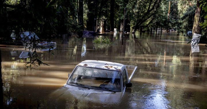 More storms forecast in U.S. ahead of Thanksgiving after west coast soaked – National [Video]