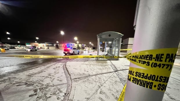 Winnipeg police shoot, kill man in Unicity parking lot after he stabbed officer [Video]