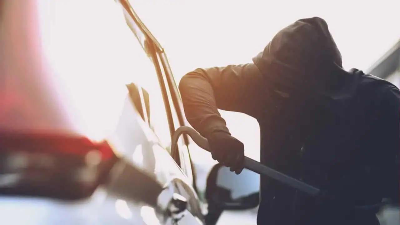 Federal government teams with INTERPOL to combat auto theft in Canada [Video]