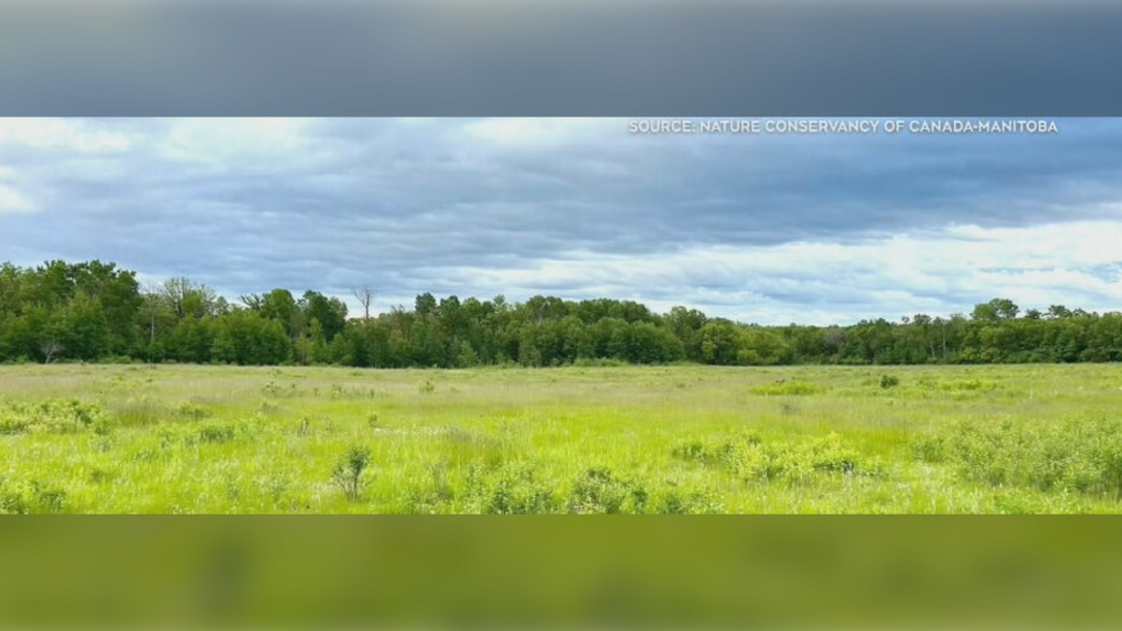 Langford Escarpment project donated to Nature Conservancy of Canada [Video]