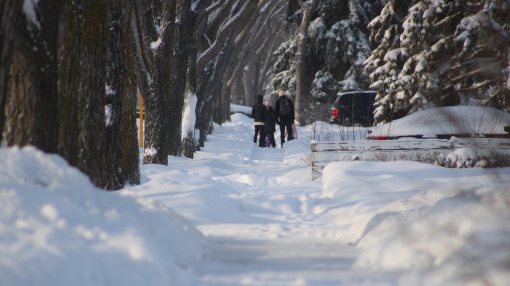 Regina weather: How much snow fell in southern Sask. this weekend? [Video]