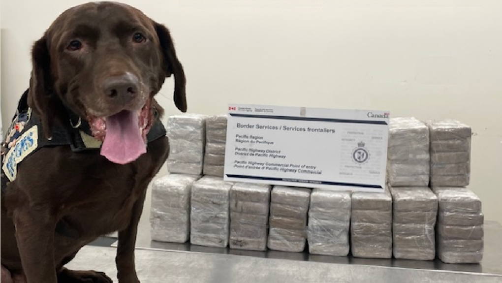 CBSA seizes 246 kilos of cocaine at B.C. border [Video]