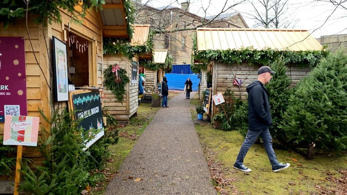 Putting the rain in reindeer: Mistletoe Market brings holiday cheer during this dreary November [Video]