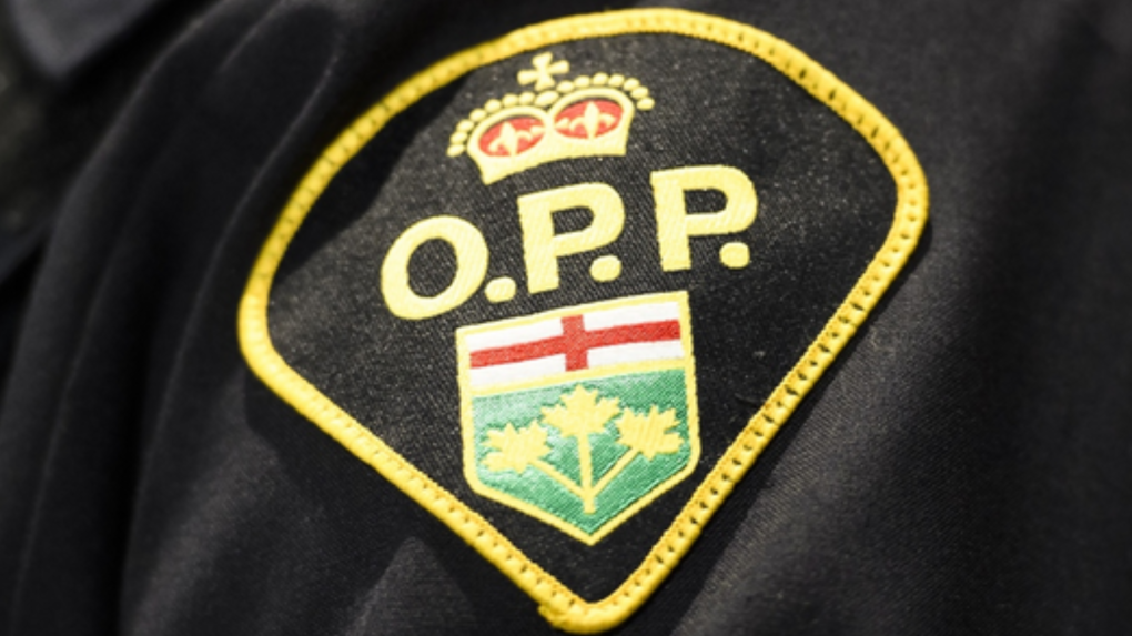 Pedestrian struck and killed by passing vehicle near Selkirk [Video]