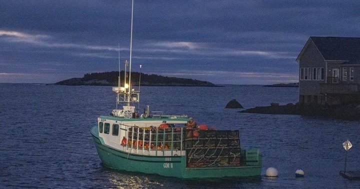 About 1,450 lobster boats to head out on Day 1 of Canadas largest lobster fishery [Video]