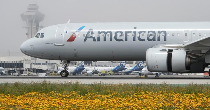 Ontario man duct-taped mid-flight after threatening to jump from plane: airline [Video]