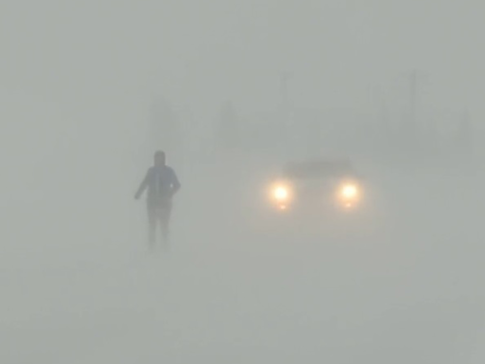 Local runners brave snowstorm and bears in Churchill marathon - SteinbachOnline.com [Video]