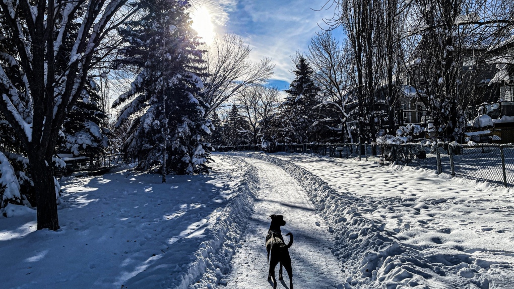 Calgary weather: Shaping up to be a cold Thursday [Video]