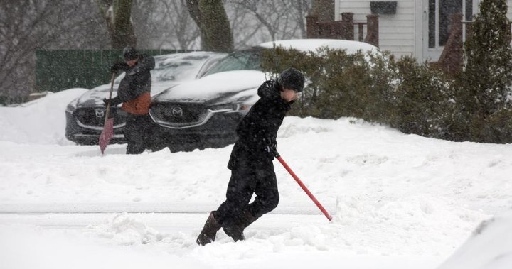 Snowfall warnings issued as N.B. gears up for first blast of wintry weather [Video]