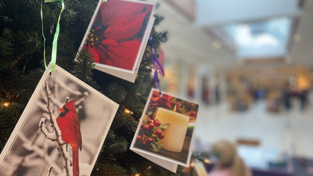 Memory Tree back at St. Vital Centre [Video]