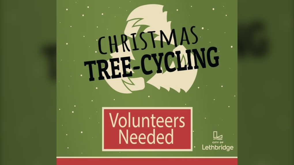 Youth group chosen to recycle Lethbridge trees to receive 10K honorarium [Video]