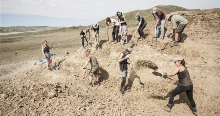 First-of-its-kind dinosaur fossil reveals look at Saskatchewan 75 million years ago [Video]