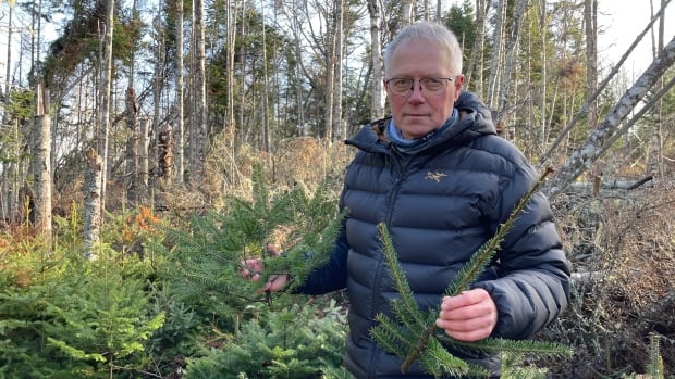 Someone is butchering young trees along some of P.E.I.’s beloved trails [Video]